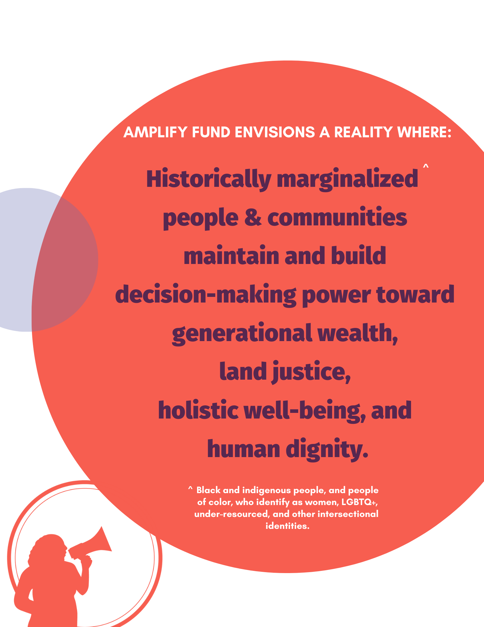 2022_Amplify Fund Vision